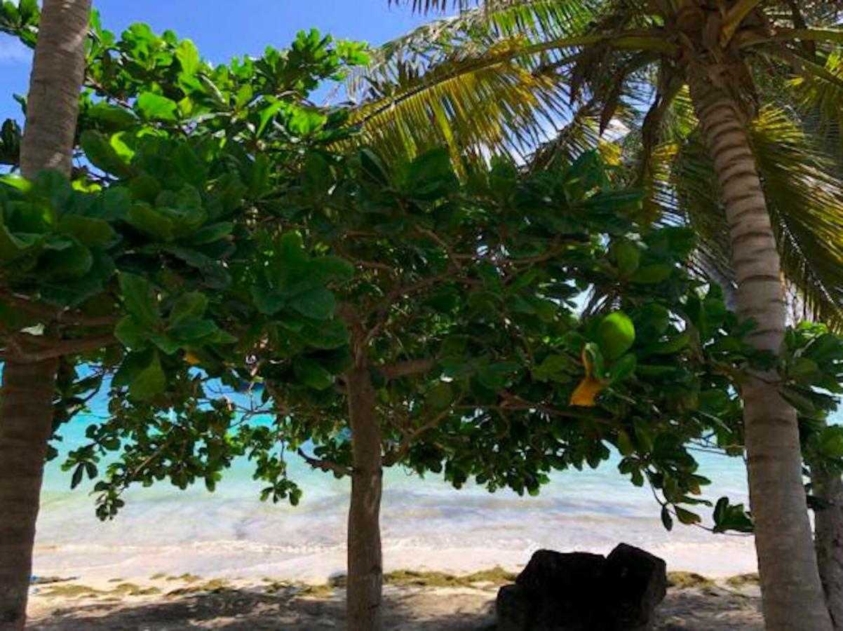 Bequia Beachfront Villa Hotel Friendship Exterior foto